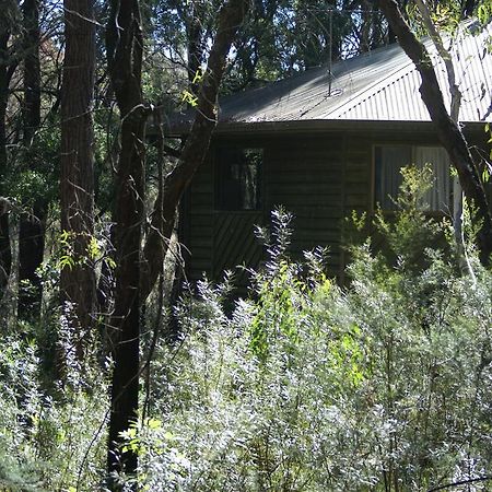 Twin Falls Bush Cottages Fitzroy Falls Exteriör bild