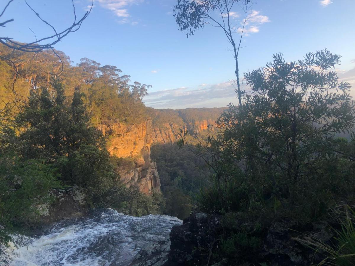 Twin Falls Bush Cottages Fitzroy Falls Exteriör bild