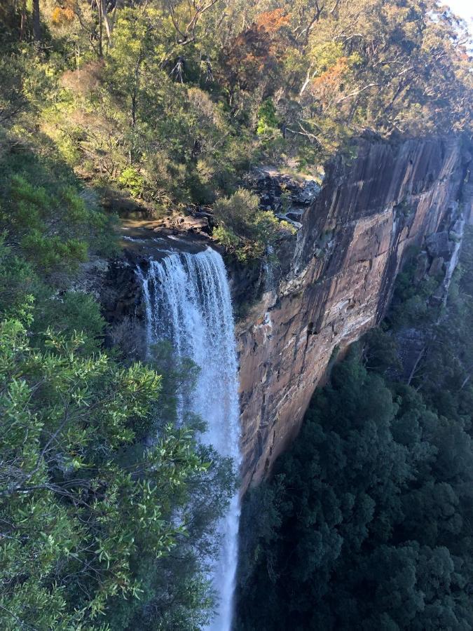 Twin Falls Bush Cottages Fitzroy Falls Exteriör bild