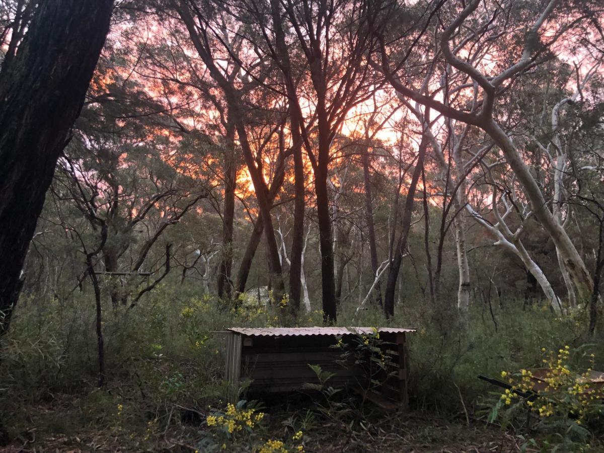 Twin Falls Bush Cottages Fitzroy Falls Exteriör bild