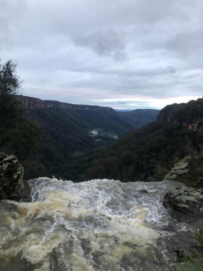 Twin Falls Bush Cottages Fitzroy Falls Exteriör bild