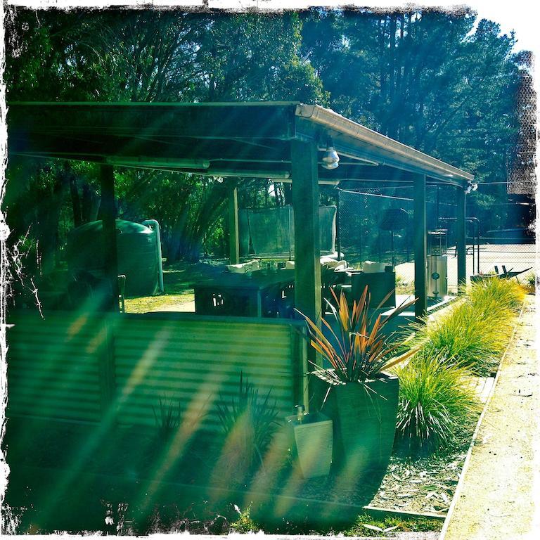 Twin Falls Bush Cottages Fitzroy Falls Rum bild