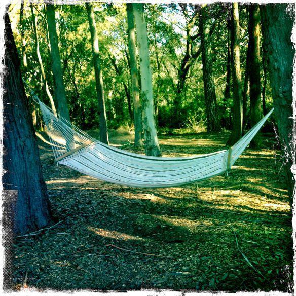 Twin Falls Bush Cottages Fitzroy Falls Rum bild
