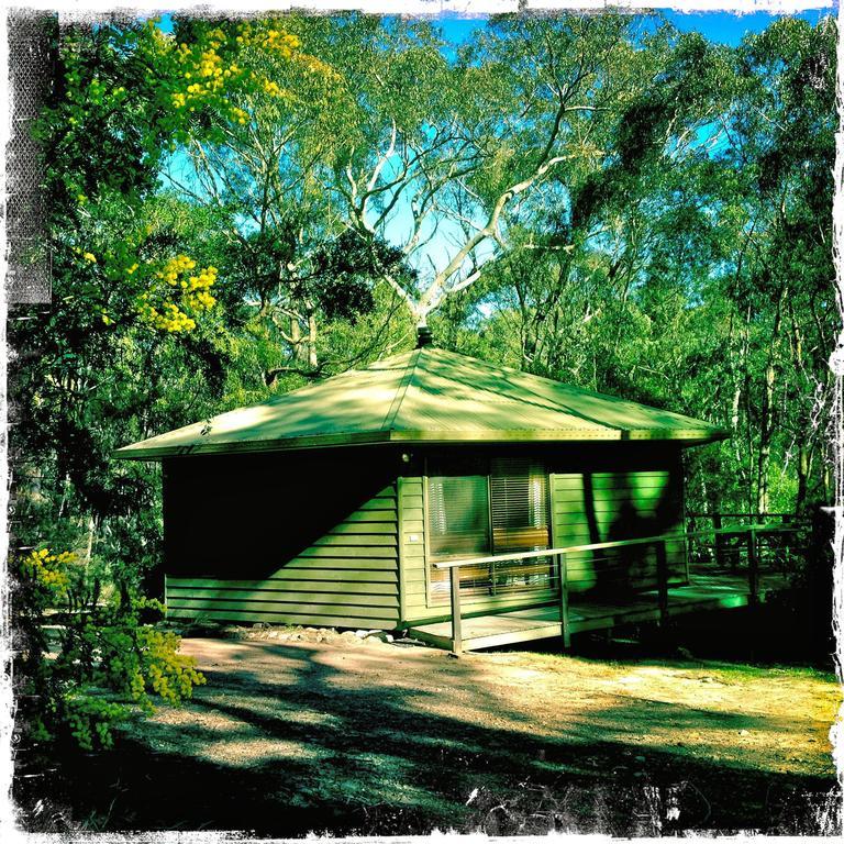 Twin Falls Bush Cottages Fitzroy Falls Rum bild