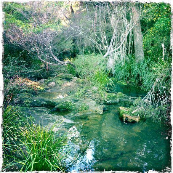 Twin Falls Bush Cottages Fitzroy Falls Rum bild