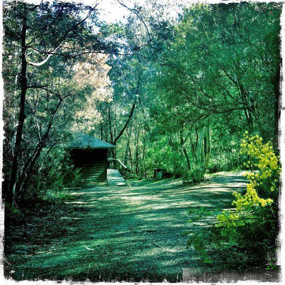 Twin Falls Bush Cottages Fitzroy Falls Rum bild