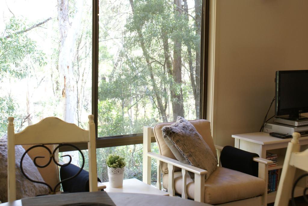 Twin Falls Bush Cottages Fitzroy Falls Exteriör bild