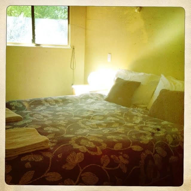 Twin Falls Bush Cottages Fitzroy Falls Exteriör bild