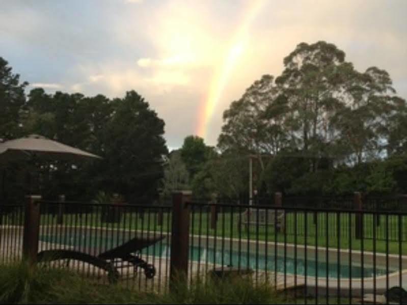 Twin Falls Bush Cottages Fitzroy Falls Exteriör bild
